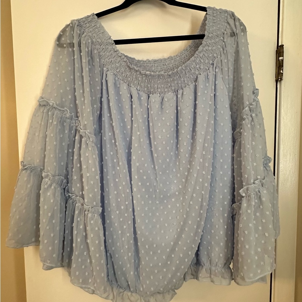 Light blue sheer wide neck top with embroidered design